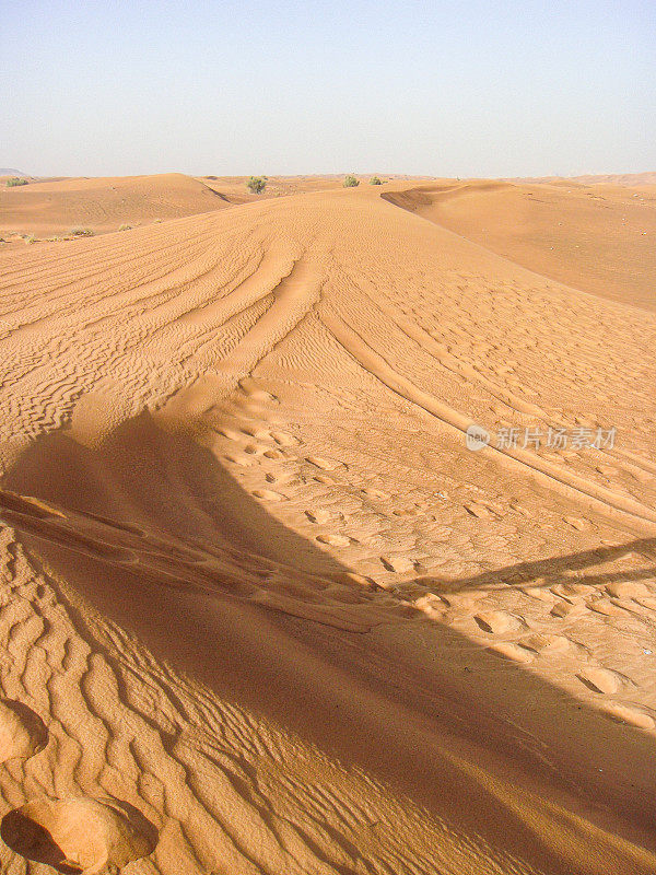 阿拉伯联合酋长国迪拜沙漠