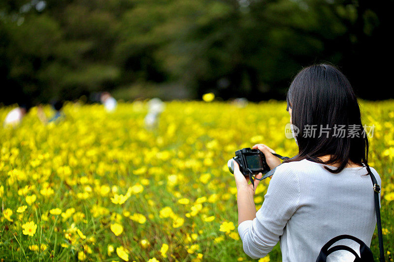 美丽的年轻女子在花田拍照