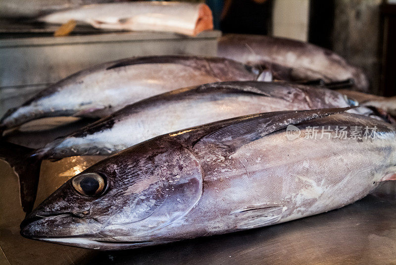 金枪鱼，鱼市场。ortigia市区。锡拉库萨，意大利西西里岛，夏季
