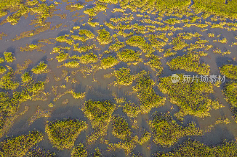 沼泽地的鸟瞰图