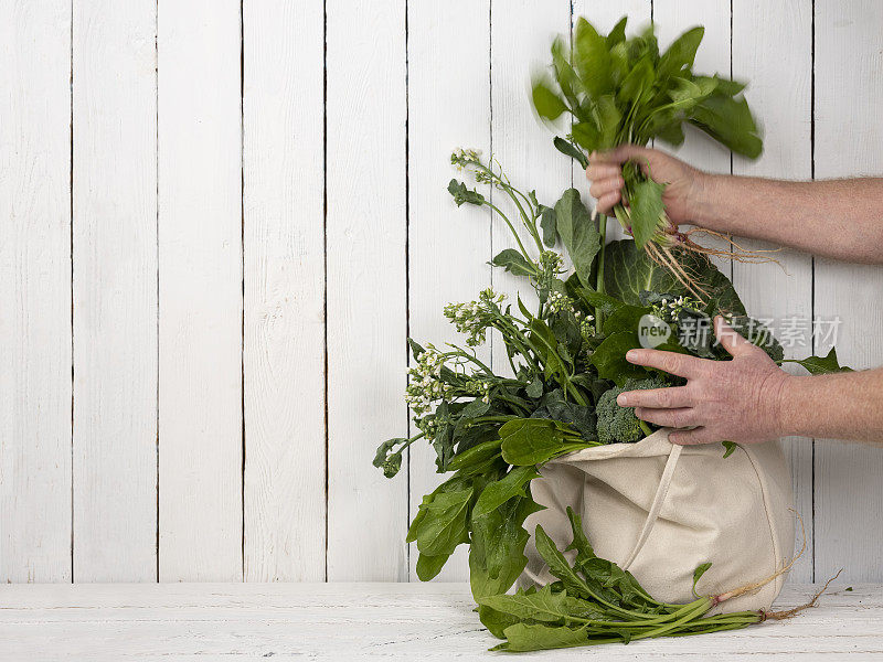 许多新鲜的绿叶蔬菜装在一个天然棉可重复使用的购物袋里，放在一张老旧的白木镶板桌子上，靠在白色镶板的木墙上，旁边有一个人从袋子里取出一些蔬菜。
