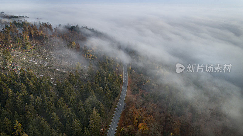 雾在陶努斯山脉，森林砍伐地区和道路的鸟瞰图