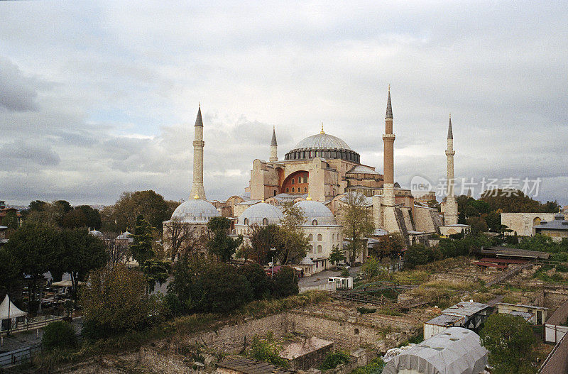 土耳其伊斯坦布尔圣索菲亚大教堂附近的海鸥