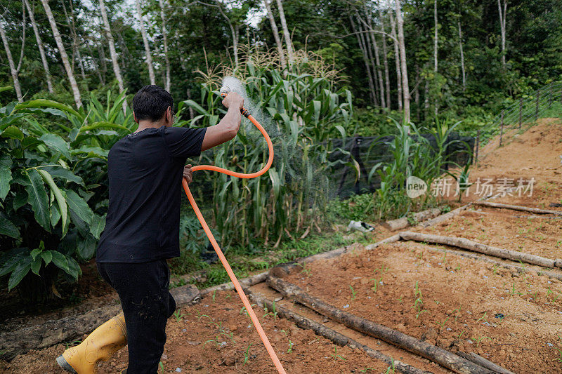 英俊的男性农民穿着黑色和浇水植物在农村农场