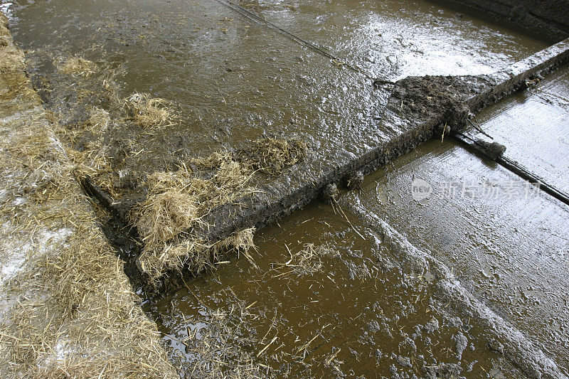英国奶牛场的自动泥浆刮刀。