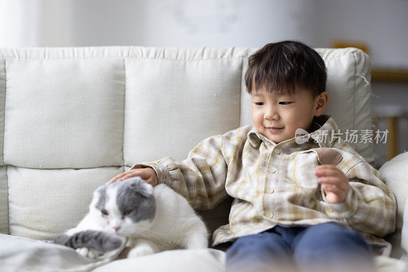 小男孩和他的猫