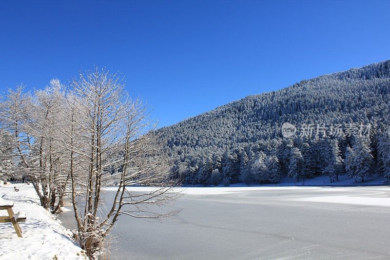 Golcuk自然公园冰冻的Golcuk湖周围的雪松和森林