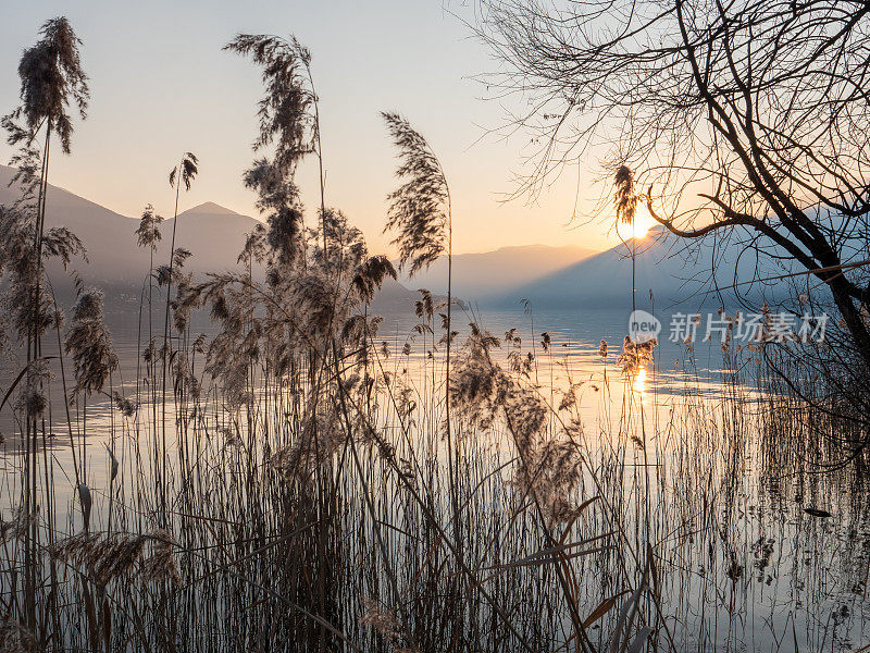 美丽的日落在瑞士的马焦雷湖