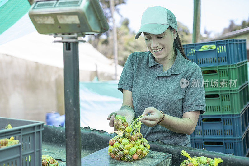 拉丁女子采摘水果把收集的食物放在塑料盒子里