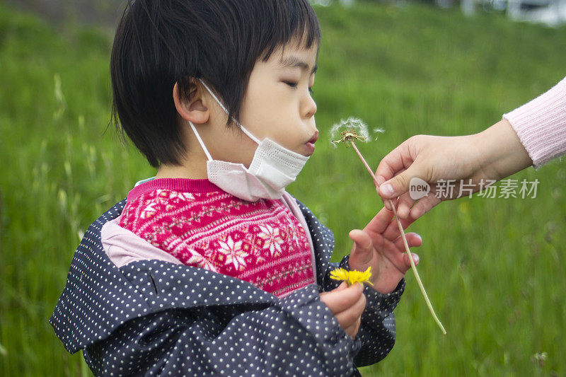 侧面的小女孩吹向蒲公英的种子头