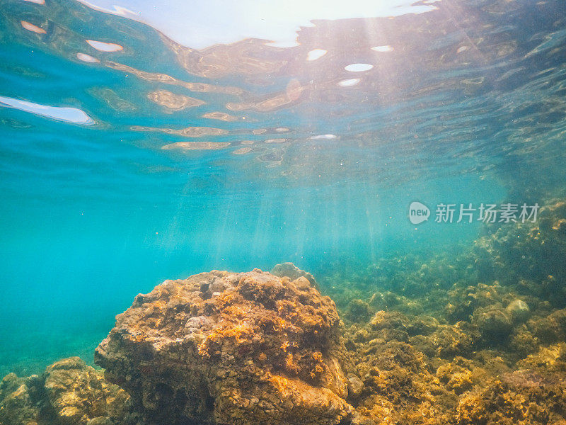 潜入水下，在希腊岛上清澈的泻湖中探索热带珊瑚礁