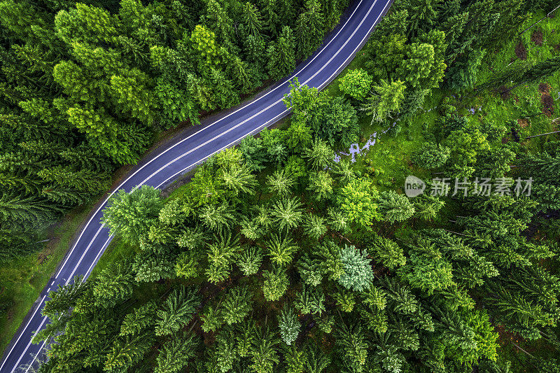 鸟瞰绿色森林中的山路