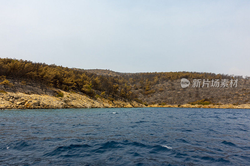 海岸森林大火之后