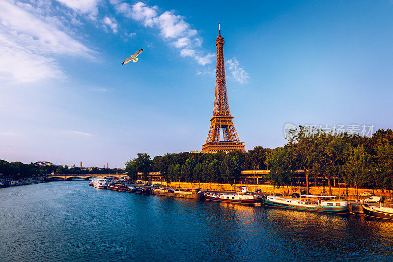 秋叶中的埃菲尔铁塔。法国巴黎，秋叶映衬的埃菲尔铁塔。巴黎的塞纳河和埃菲尔铁塔在秋天的时候。秋天的巴黎和埃菲尔铁塔。巴黎,法国。