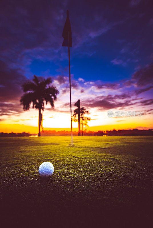 高尔夫球旁边的洞和令人惊叹的日落棕榈树剪影高尔夫在天堂