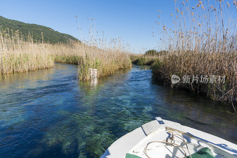 夏季的河岸景观