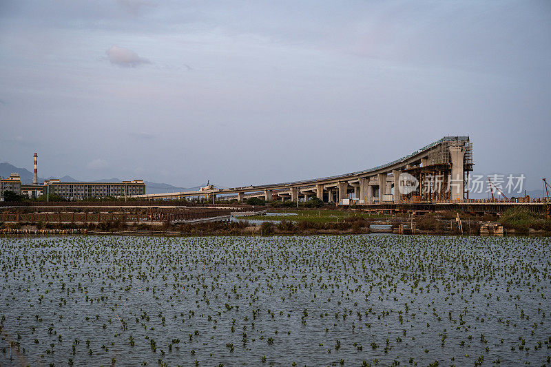 海上高架桥建设