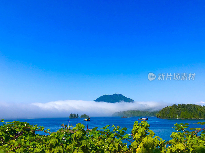 Tofino、加拿大