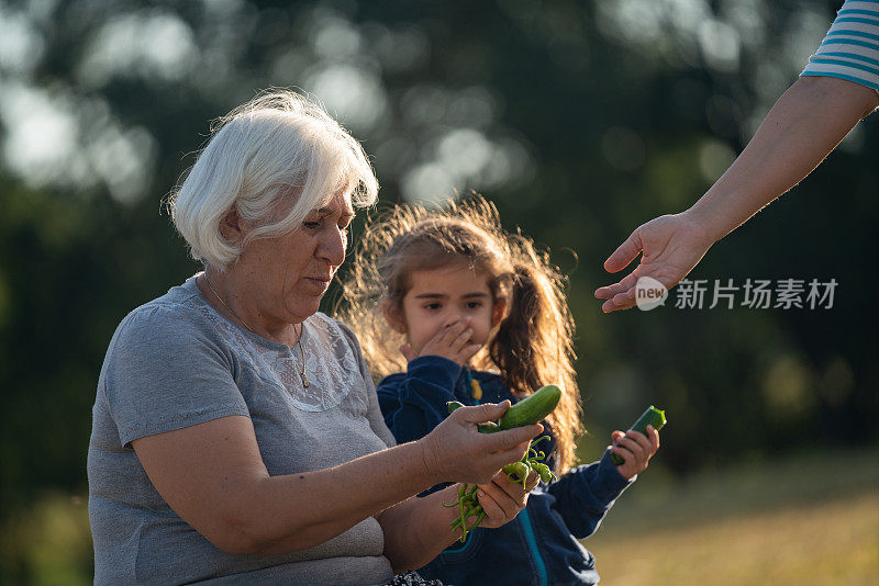 老妇和孙女与朋友分享新鲜蔬菜的照片