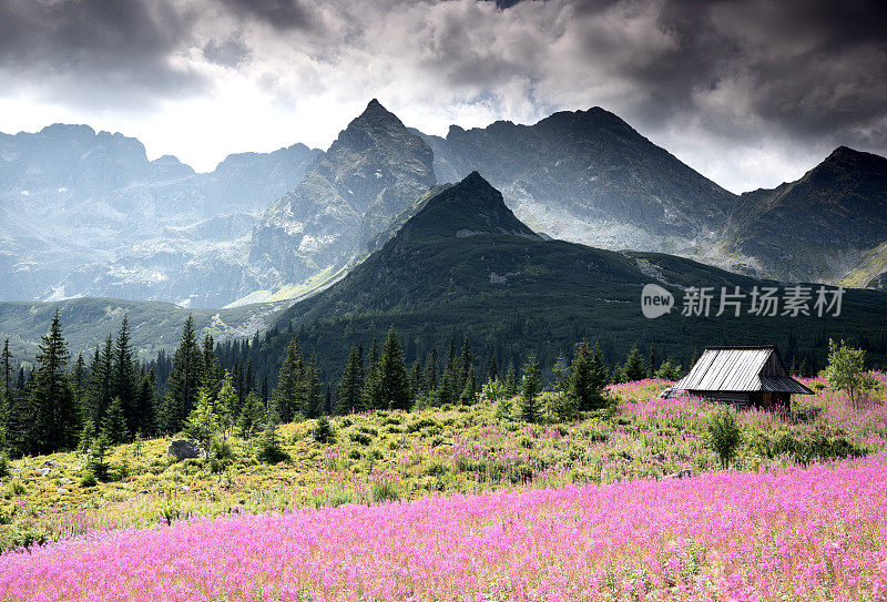 Tatra山上,波兰