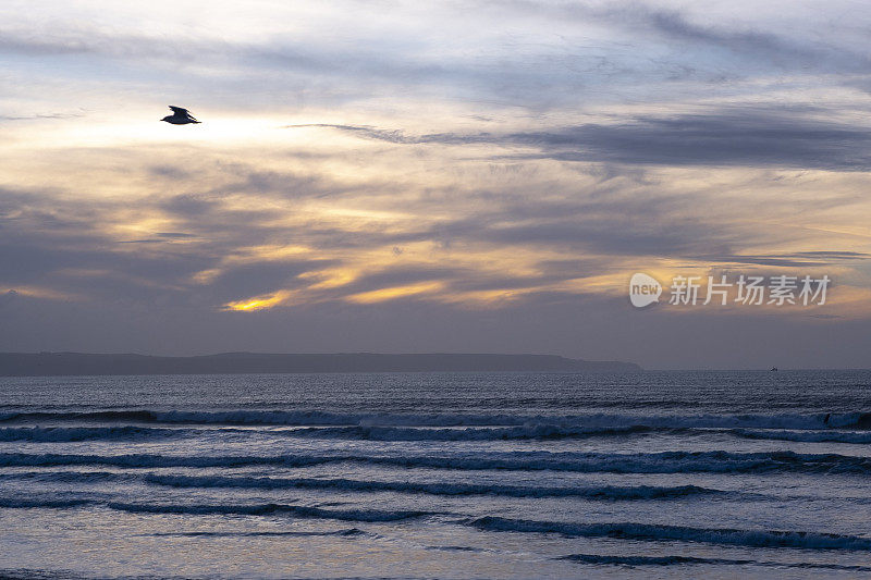 孤独的海鸥在夕阳下飞翔