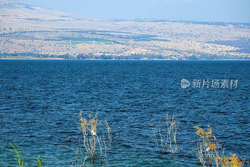 以色列北部提比哩亚Kineret湖(加利利海)的风景