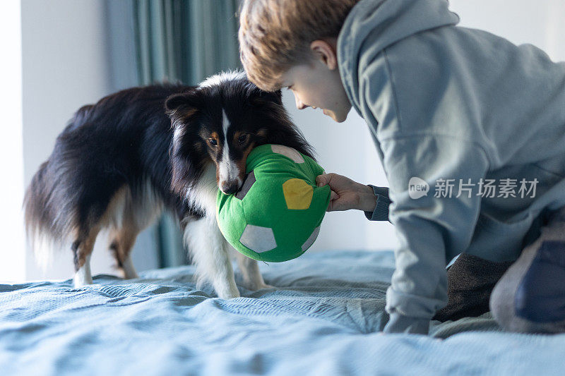 男孩和狗玩球