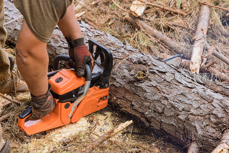 在砍伐树木的过程中，一名员工正在用电锯砍伐树木。这导致了森林的破坏作为活动的结果。