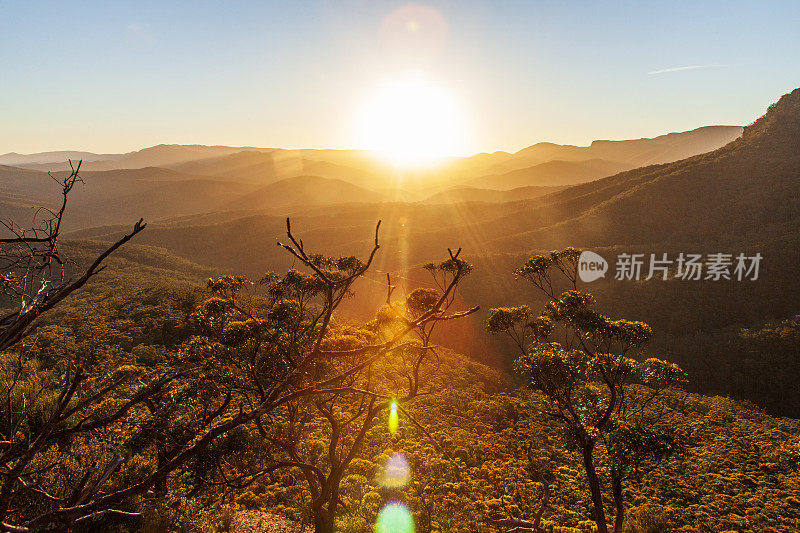 太阳在树梢上落下，在金色的光线中起伏的山景