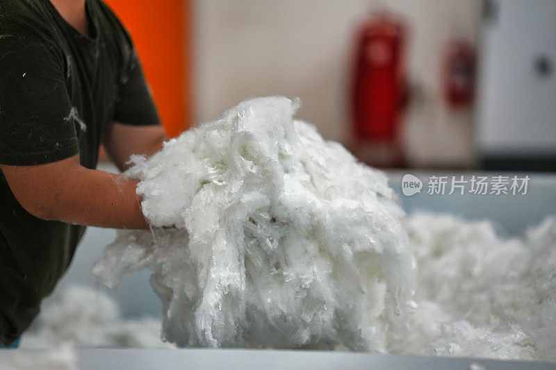 有机棉用于环保纺织品生产