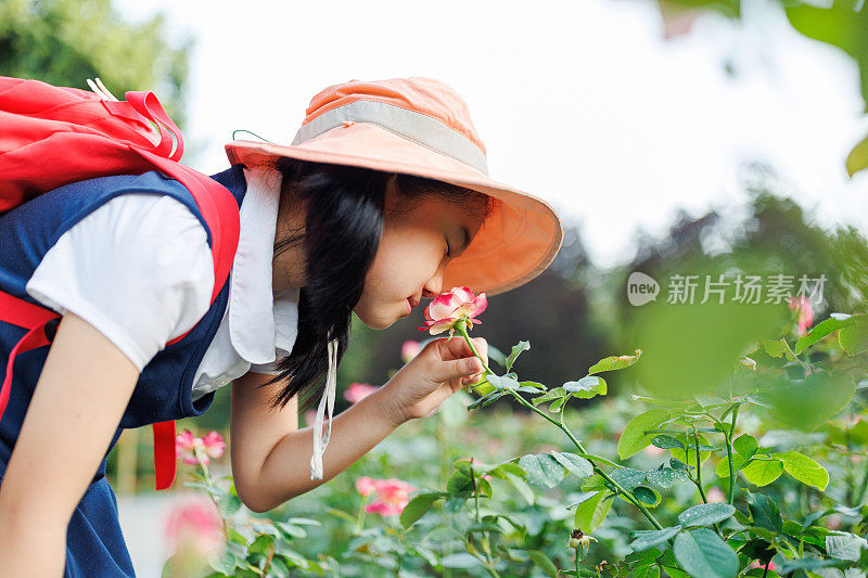 小女孩闻到玫瑰花的香味