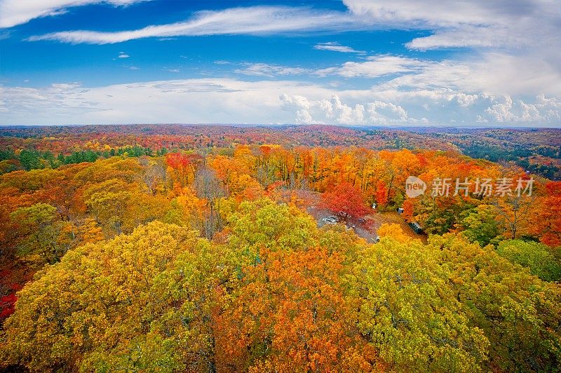 鸟瞰树木、秋色和小湖