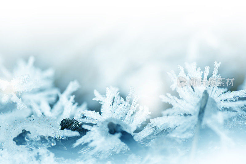 冬日里的雪花和冰晶特写