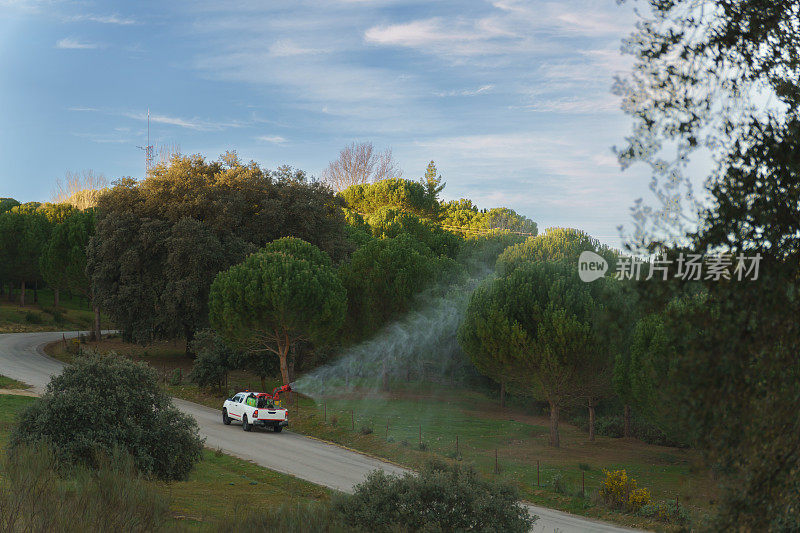 车辆在松树林中为行进的毛虫喷洒杀虫剂。
