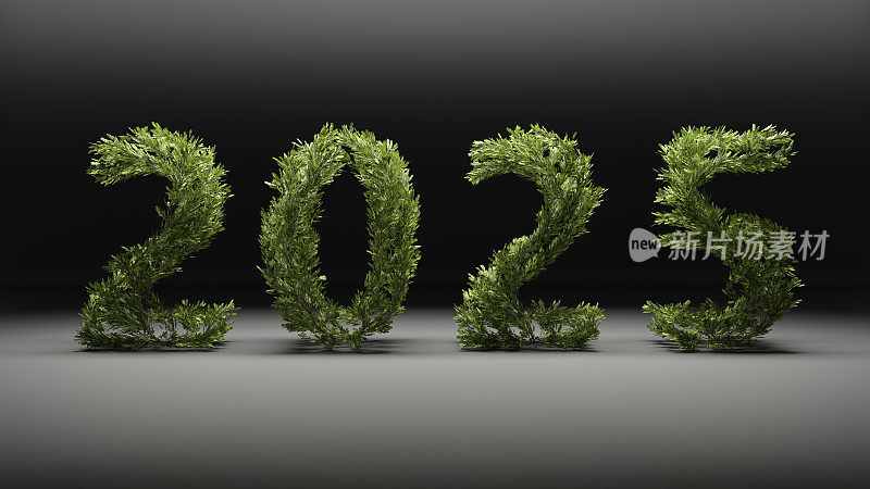 2025年自然传单即将到来的新年作为3D插图