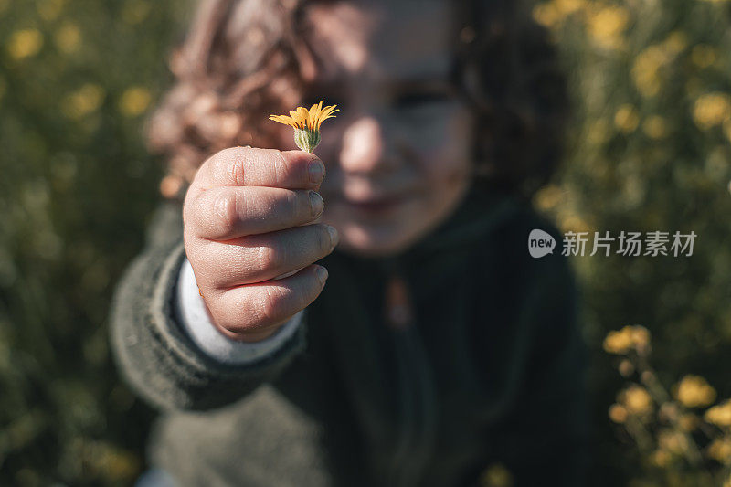 小男孩手里拿着黄花的特写，在阳光明媚的日子里，在绿色的草地上，向镜头展示了它的快乐和满足