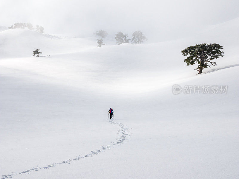 登山者冬天在野生森林里徒步旅行