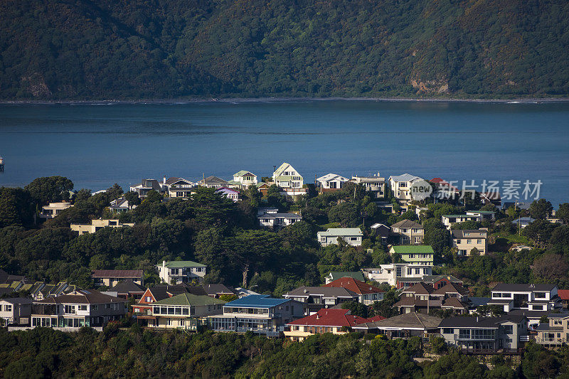 惠灵顿城市东部