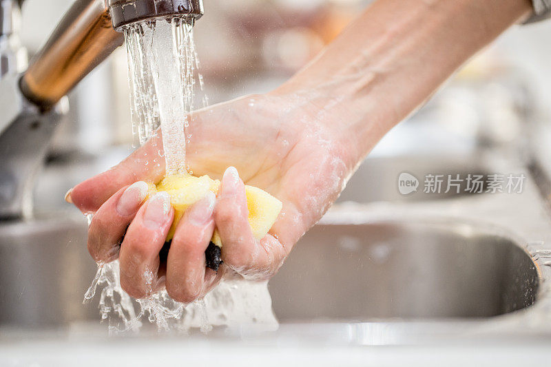 成年妇女在流动的自来水下挤压清洁海绵的特写