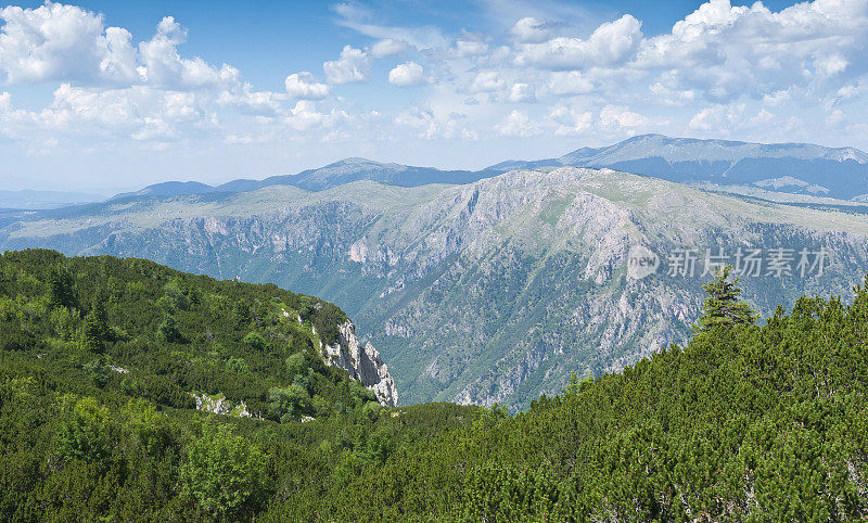 杜米托国家公园的山地景观。巴尔干半岛,黑山