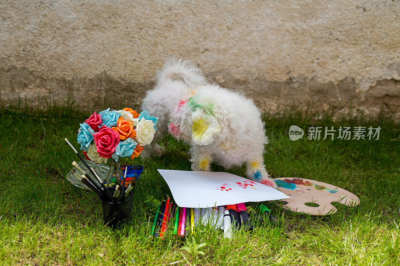创造性的狗画与它的爪子在一张大纸上从一个彩色调色板