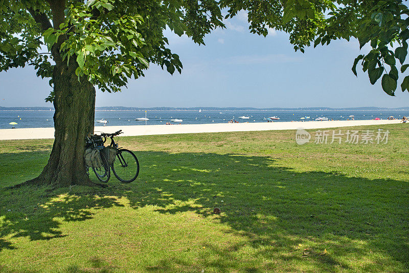 在法国的阿卡松，靠在树上骑自行车