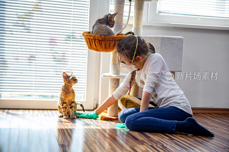 在冠状病毒大流行期间，小女孩和她的猫在室内——库存照片