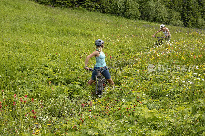 女性山地电动自行车骑过草地上的野花