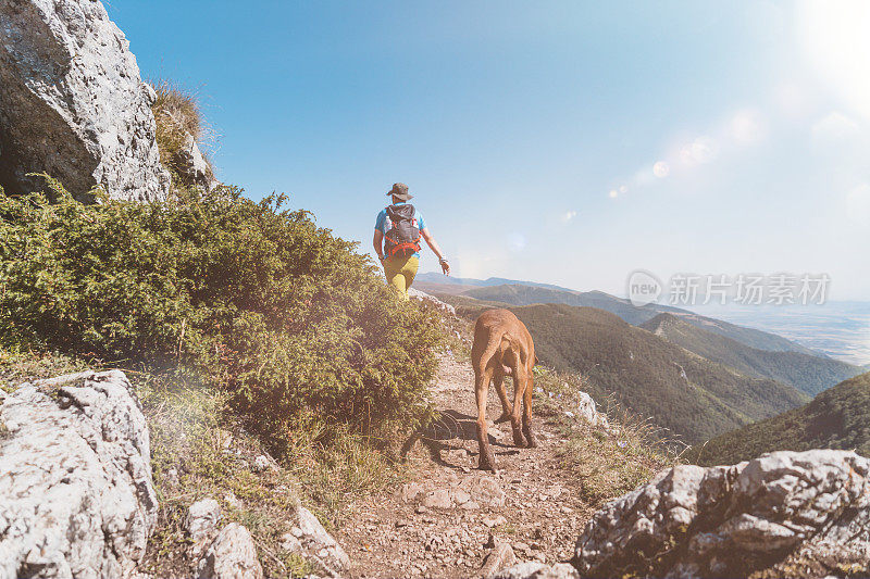 一个年轻的徒步旅行者走在崎岖的山路上，后面跟着他的匈牙利维兹拉狗