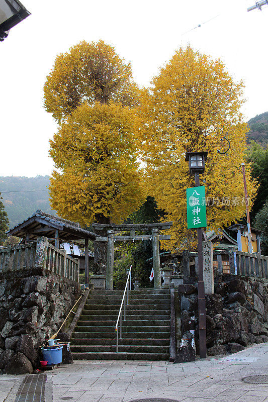 楼梯，黄色的树或银杏，和八坂神社的入口从街道，大分，日本。