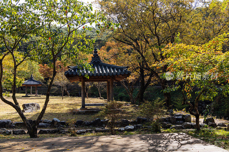 松光沙寺入口处秋叶飘落