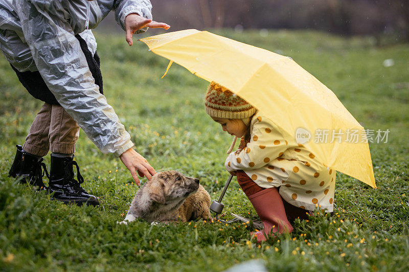 小女孩和妈妈在雨天给小狗雨伞