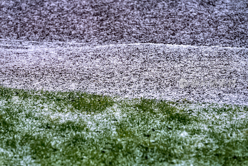 小雪飘落在草地上