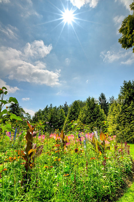 盛夏花园(HDR)